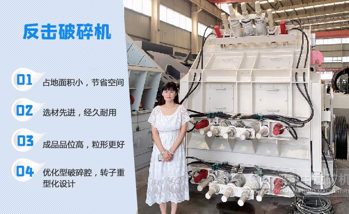 玄武巖處置設(shè)備 玄武巖處置設(shè)備